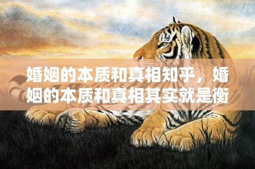 婚姻的本质和真相知乎，婚姻的本质和真相其实就是衡量利弊的重要？婚姻是权衡利弊的选择什么意思