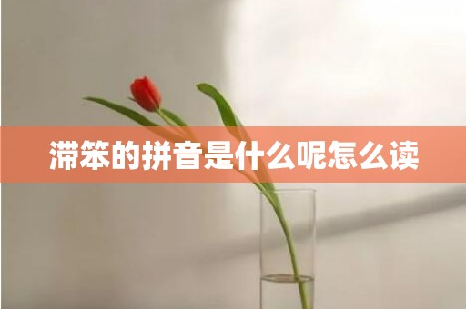 滞笨的拼音是什么呢怎么读