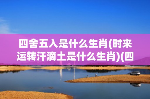四舍五入是什么生肖(时来运转汗滴土是什么生肖)(四舍五入是什么生肖 视频)