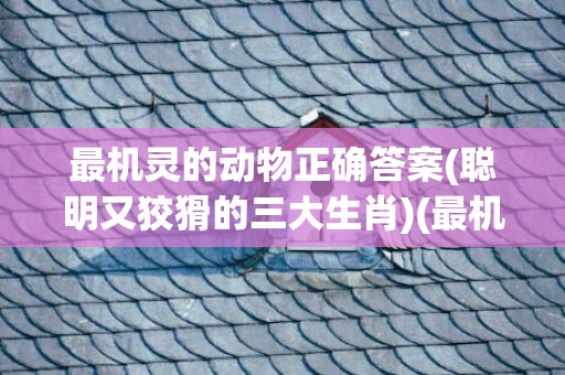 最机灵的动物正确答案(聪明又狡猾的三大生肖)(最机灵的动物正确答案)