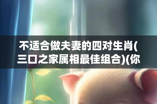 不适合做夫妻的四对生肖(三口之家属相最佳组合)(你在其中吗?)