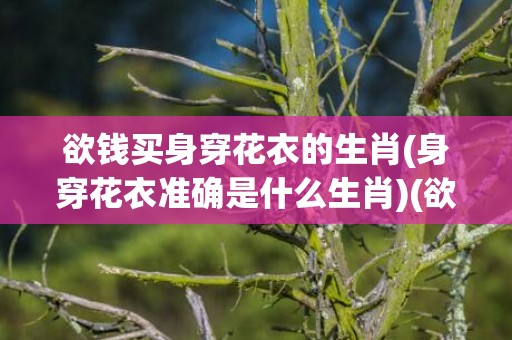欲钱买身穿花衣的生肖(身穿花衣准确是什么生肖)(欲钱买身穿花衣的动物是形容什么生肖)