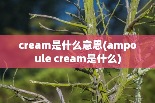 cream是什么意思(ampoule cream是什么)