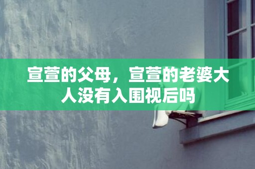 宣萱的父母，宣萱的老婆大人没有入围视后吗