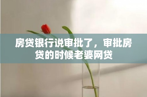 房贷银行说审批了，审批房贷的时候老婆网贷