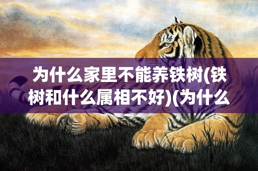 为什么家里不能养铁树(铁树和什么属相不好)(为什么家里不能养水仙花)