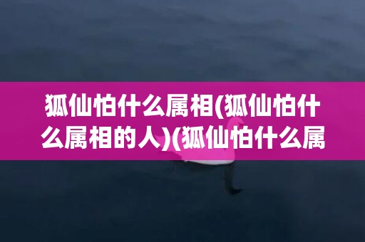 狐仙怕什么属相(狐仙怕什么属相的人)(狐仙怕什么属相的人)