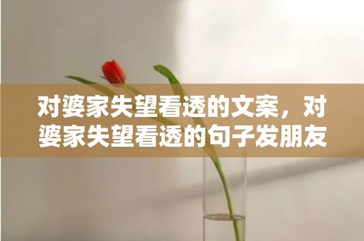 对婆家失望看透的文案，对婆家失望看透的句子发朋友圈说说，在婆家受委屈无处表达的句子