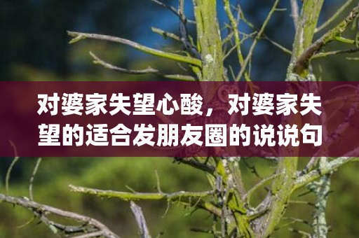 对婆家失望心酸，对婆家失望的适合发朋友圈的说说句子(表示对婆家人心寒的句子)