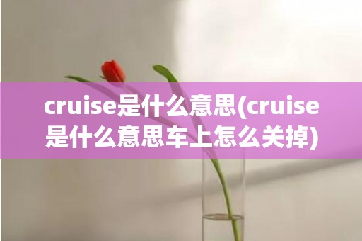 cruise是什么意思(cruise是什么意思车上怎么关掉)