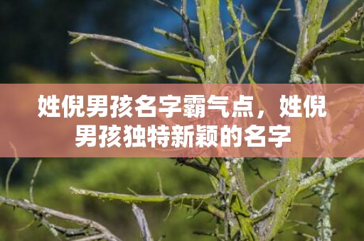 姓倪男孩名字霸气点，姓倪男孩独特新颖的名字