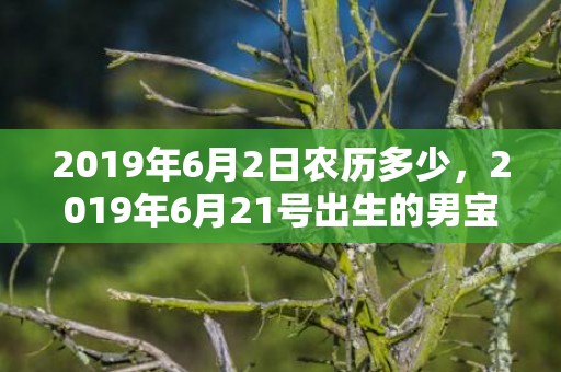 2019年6月2日农历多少，2019年6月21号出生的男宝宝五行缺土要怎么样起名字