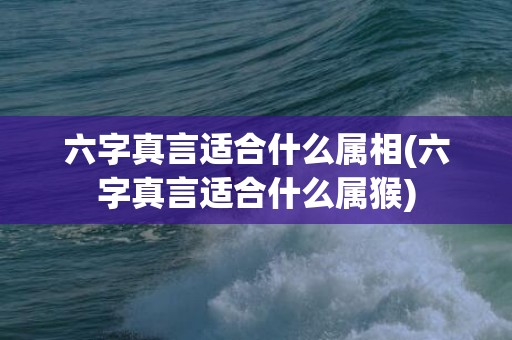 六字真言适合什么属相(六字真言适合什么属猴)