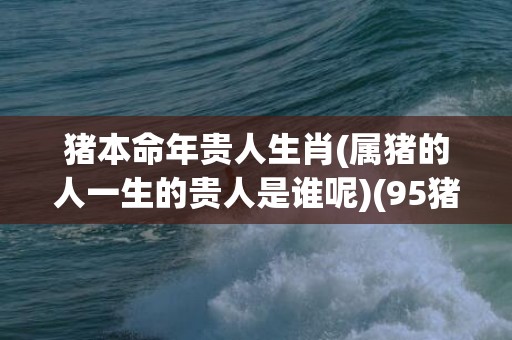 猪本命年贵人生肖(属猪的人一生的贵人是谁呢)(95猪的贵人是什么生肖)