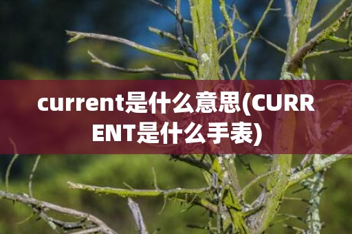 current是什么意思(CURRENT是什么手表)