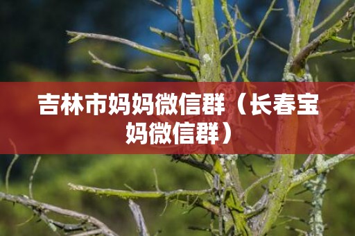 吉林市妈妈微信群（长春宝妈微信群）