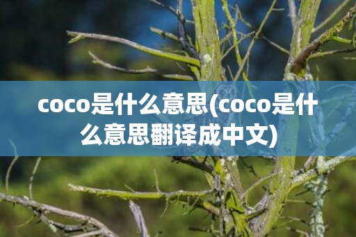 coco是什么意思(coco是什么意思翻译成中文)