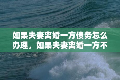 如果夫妻离婚一方债务怎么办理，如果夫妻离婚一方不同意怎么办理