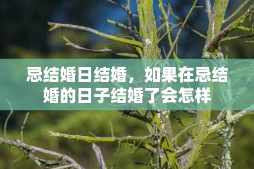 忌结婚日结婚，如果在忌结婚的日子结婚了会怎样