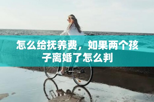怎么给抚养费，如果两个孩子离婚了怎么判