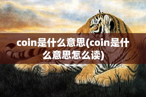 coin是什么意思(coin是什么意思怎么读)