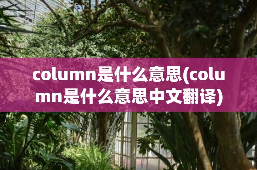 column是什么意思(column是什么意思中文翻译)