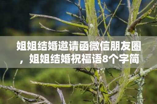 姐姐结婚邀请函微信朋友圈，姐姐结婚祝福语8个字简短