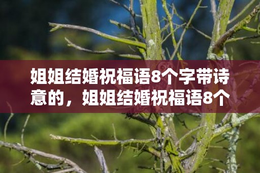 姐姐结婚祝福语8个字带诗意的，姐姐结婚祝福语8个字简单实用一点的句子，姐姐出嫁的祝福语