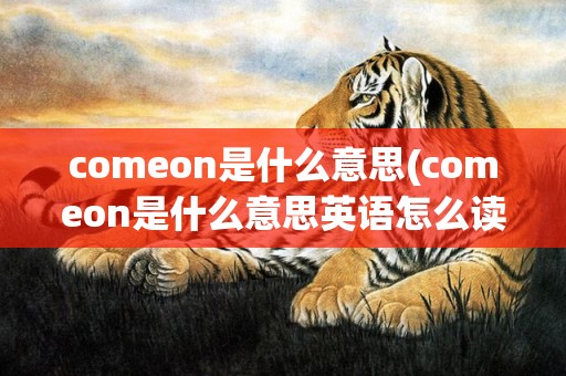 comeon是什么意思(comeon是什么意思英语怎么读音)