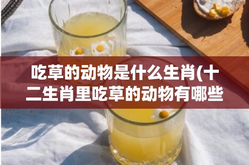 吃草的动物是什么生肖(十二生肖里吃草的动物有哪些)(不吃草的动物是什么生肖)