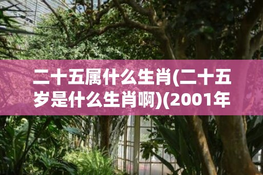 二十五属什么生肖(二十五岁是什么生肖啊)(2001年腊月二十五属什么生肖)