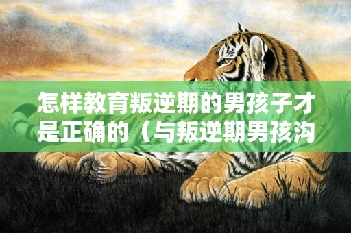 怎样教育叛逆期的男孩子才是正确的（与叛逆期男孩沟通的9个技巧）