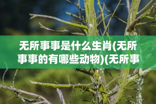 无所事事是什么生肖(无所事事的有哪些动物)(无所事事的意思是什么)