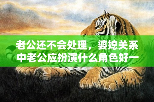 老公还不会处理，婆媳关系中老公应扮演什么角色好一点