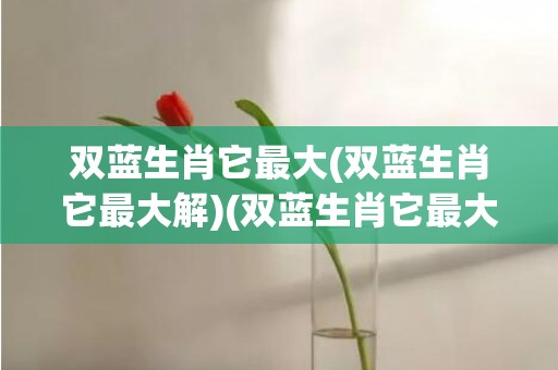 双蓝生肖它最大(双蓝生肖它最大解)(双蓝生肖它最大代表十二生肖)