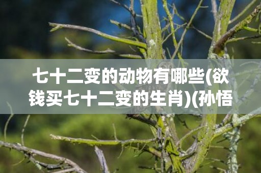 七十二变的动物有哪些(欲钱买七十二变的生肖)(孙悟空七十二变打一动物)