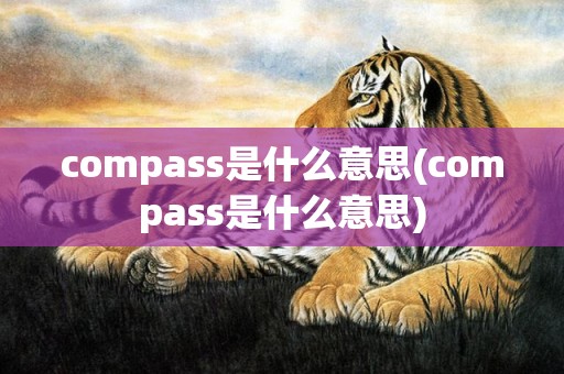 compass是什么意思(compass是什么意思)