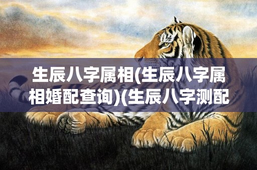 生辰八字属相(生辰八字属相婚配查询)(生辰八字测配偶属相)