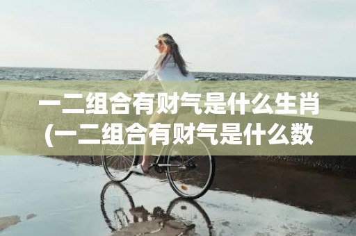 一二组合有财气是什么生肖(一二组合有财气是什么数字)(一二组合有财气是什么意思)