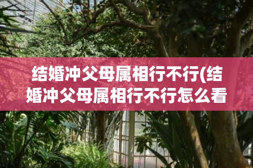 结婚冲父母属相行不行(结婚冲父母属相行不行怎么看)(结婚冲父母属相怎么化解)