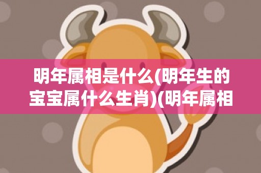 明年属相是什么(明年生的宝宝属什么生肖)(明年属相是什么生肖)