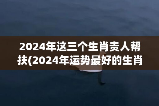 2024年这三个生肖贵人帮扶(2024年运势最好的生肖要翻身)(2024年最新三胎奖励是多少)