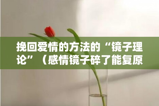 挽回爱情的方法的“镜子理论”（感情镜子碎了能复原吗）