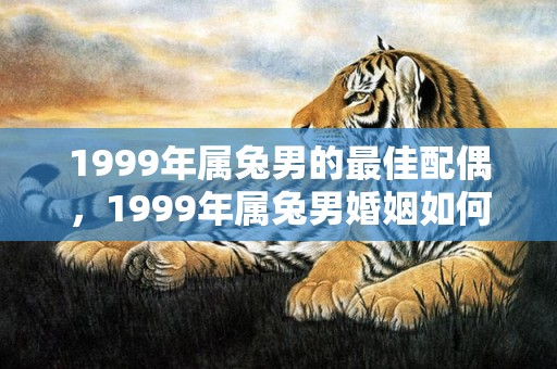 1999年属兔男的最佳配偶，1999年属兔男婚姻如何