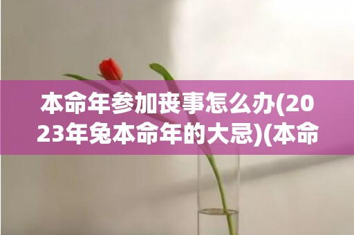 本命年参加丧事怎么办(2023年兔本命年的大忌)(本命年的人参加丧事注意什么)