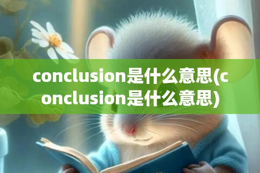 conclusion是什么意思(conclusion是什么意思)