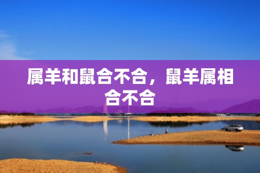 属羊和鼠合不合，鼠羊属相合不合