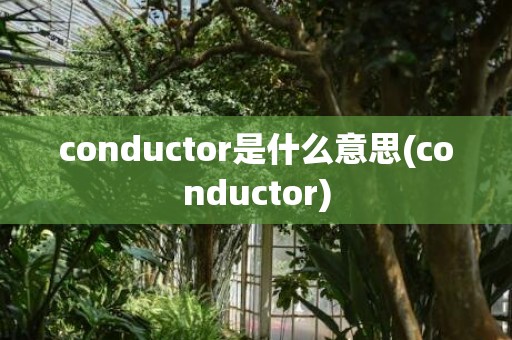 conductor是什么意思(conductor)