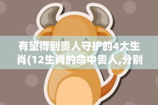 有望得到贵人守护的4大生肖(12生肖的命中贵人,分别是谁)