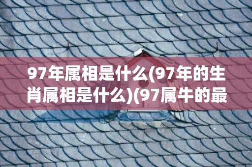 97年属相是什么(97年的生肖属相是什么)(97属牛的最佳婚配)